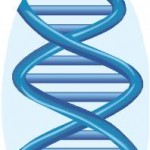 DNA Genealogy Research