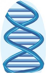 DNA Genetic Genealogy