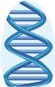 DNA for genealogy