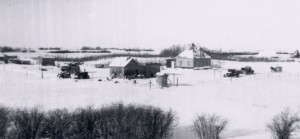 Irvine Family Farm Yard, 20 miles SW of Young Sask, 1950s